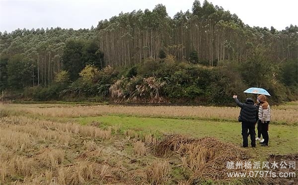 牡丹江市陈老师带着爱徒寻龙点穴