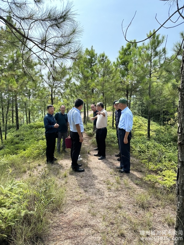 牡丹江市学杨公风水跟陈荣昌老师实在